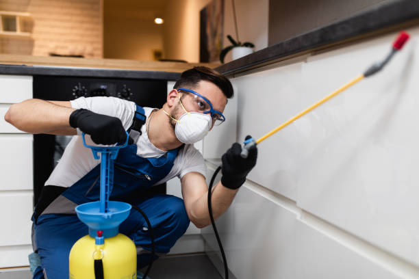 Best Emergency Pest Control  in Rafter J Ranch, WY