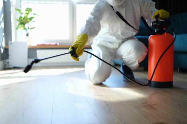 Best Flea Control Services  in Rafter J Ranch, WY