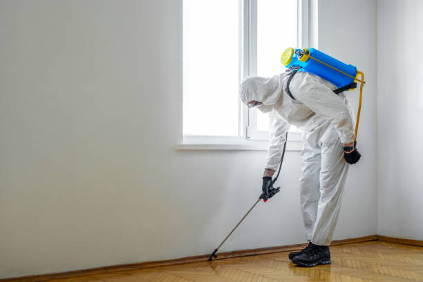 Best Termite Control Services  in Rafter J Ranch, WY