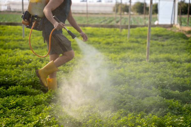 Best Commercial Pest Control Services  in Rafter J Ranch, WY