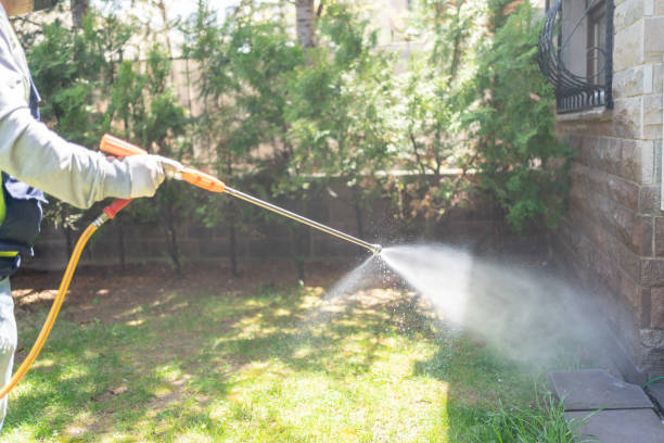 Flea Control Services in Rafter J Ranch, WY
