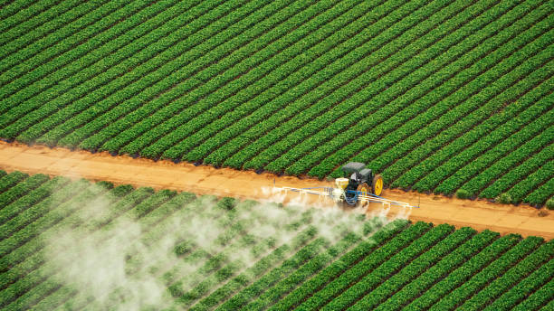 Pest Prevention Services in Rafter J Ranch, WY