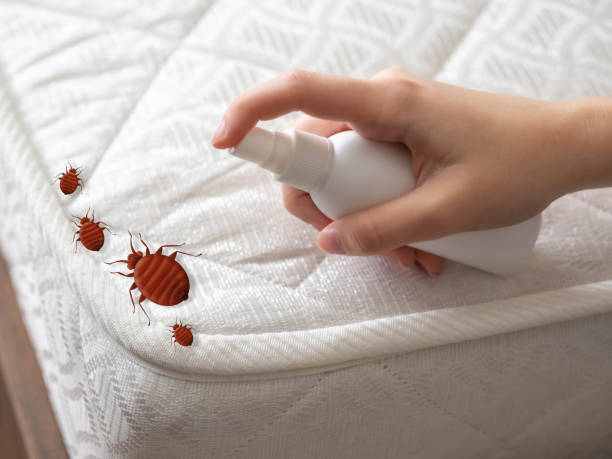 Best Best Pest Control Companies  in Rafter J Ranch, WY