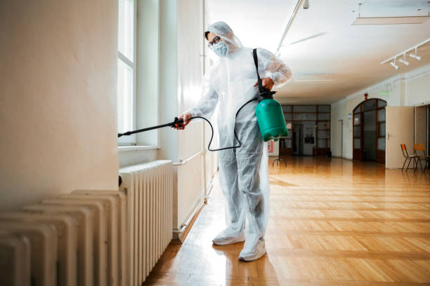 Best Wasp Removal Services  in Rafter J Ranch, WY