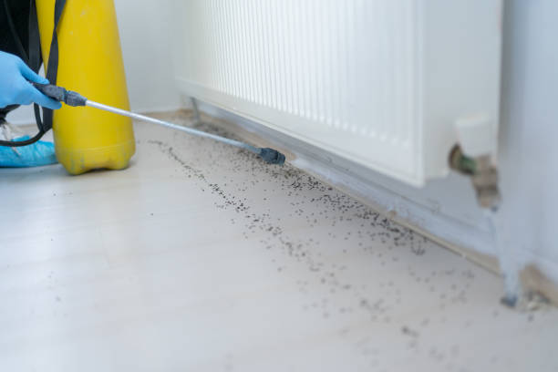 Trusted Rafter J Ranch, WY Pest Control Experts