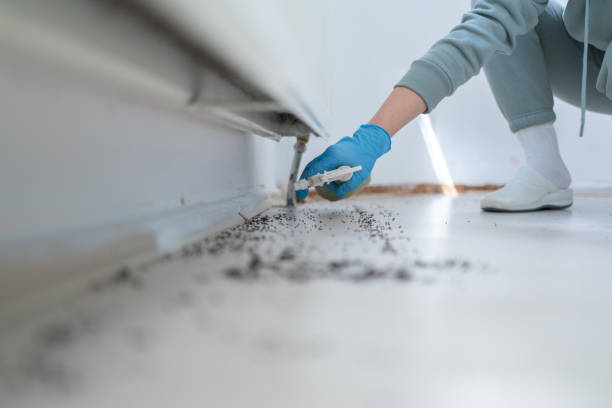 Best Pest Control Near Me  in Rafter J Ranch, WY